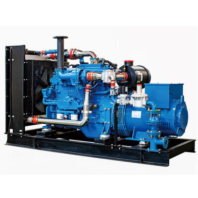 Prime 300kW Weichai WP10D238E301NG Gerador de Gás Natural Solução econômica